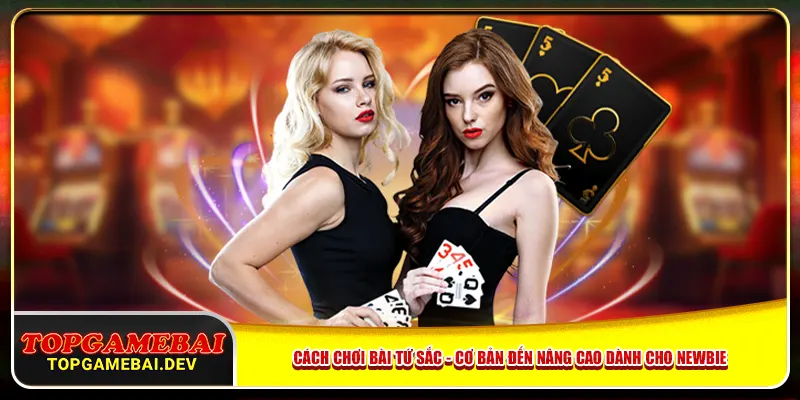 Cách Chơi Bài Tứ Sắc – Từ Cơ Bản Đến Nâng Cao Cho Newbie